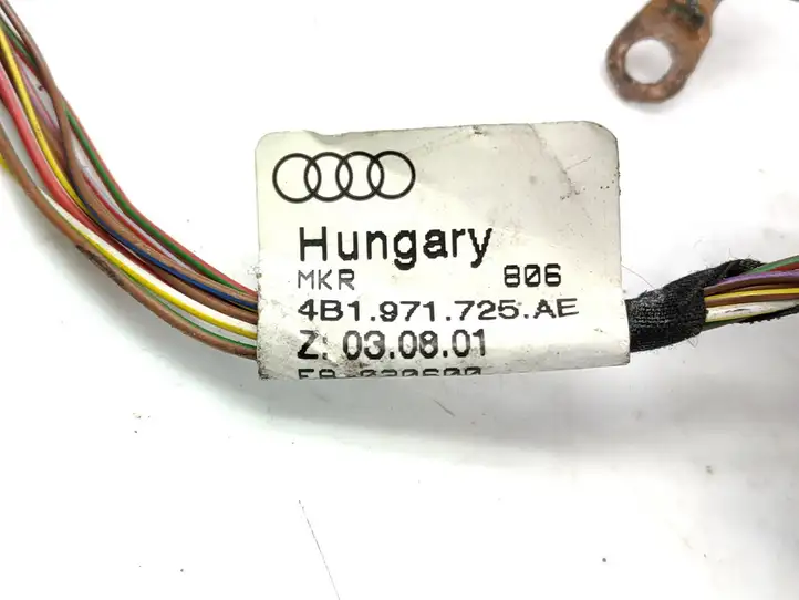 Audi A6 S6 C5 4B (2001 - 2004) 4B1971725AE Прочая электропроводка — фото 2