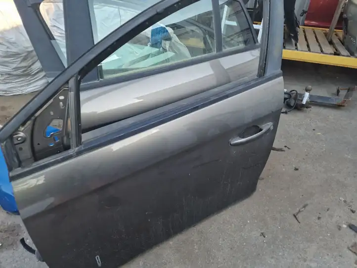 Fiat Bravo (2007 - 2014) Дверь — фото 1