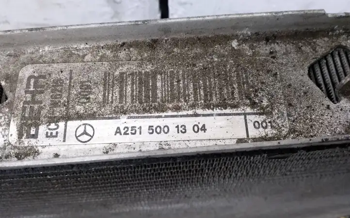 Mercedes-Benz ML W164 (2005 - 2011) A2515001304 Радиатор охлаждающей жидкости двигателя — фото 6