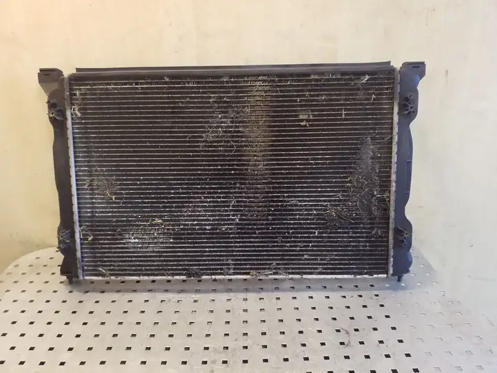 Seat Exeo (3R) (2008 - 2013) 8E0121251A Радиатор охлаждающей жидкости двигателя — фото 3
