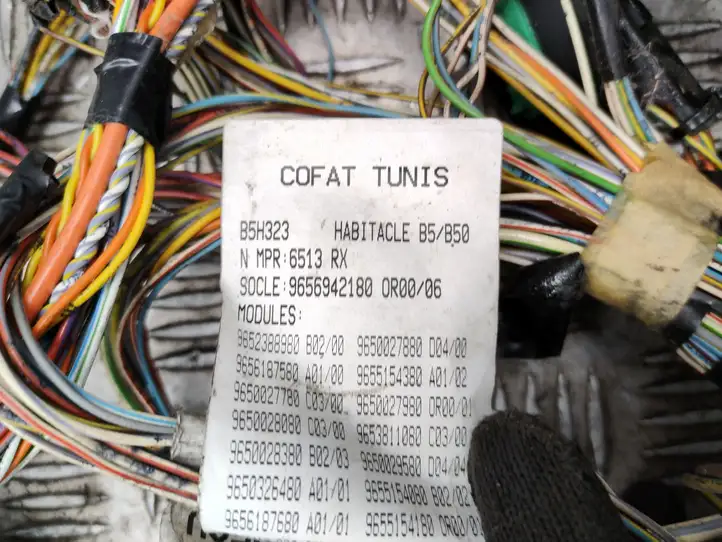 Citroen C4 (2004 - 2008) 965271480 Прочая электропроводка — фото 2