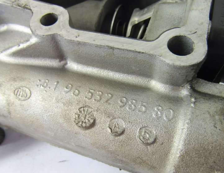 9653298580 Peugeot 307 Termostato korpusas