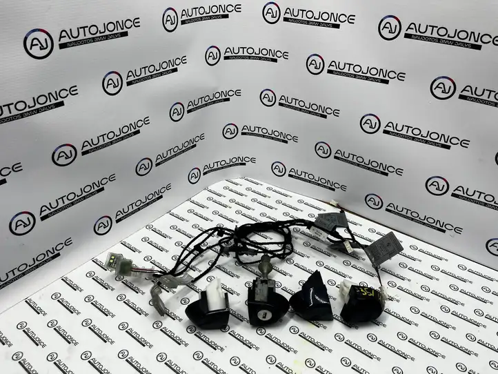 BMW 3 E90 E91 (2005 - 2012) 7181314 Подсветка ручки задней двери — фото 1