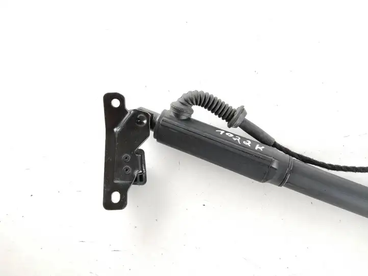 BMW X5 E70 (2006 - 2013) 7332695 Амортизатор крышки багажника — фото 3