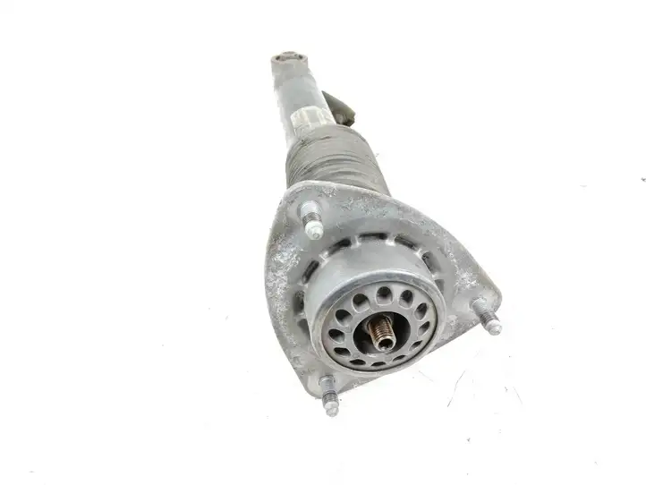 BMW X6 E71 (2008 - 2014) 6792972 Задний aмортизатор — фото 2