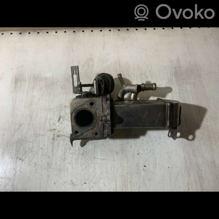 059131063D Audi A6 S6 C6 4F EGR aušintuvas