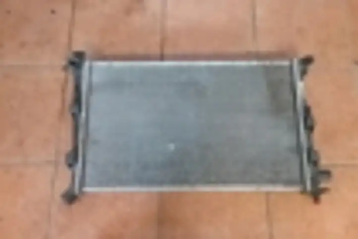 Mercedes-Benz A W168 (1997 - 2004) A1685001702 Радиатор охлаждающей жидкости двигателя — фото 1