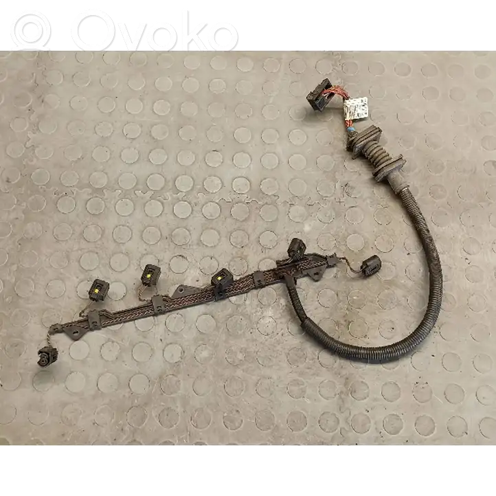 BMW X5 E70 (2006 - 2013) 738050805 Проводка топливных форсунок — фото 1