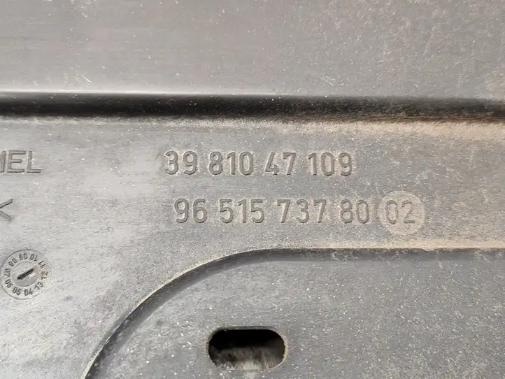 Peugeot 206 (1998 - 2012) 3981047109 Дефлектор воздуха — фото 3