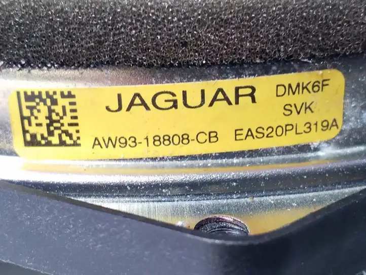 Jaguar XJ X351 (2009 - 2019) AW9318808CB Динамики передних дверей — фото 3