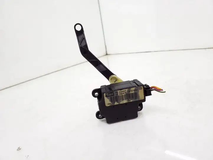 Opel Signum (2002 - 2008)  09180201 Двигатель задвижки потока воздуха