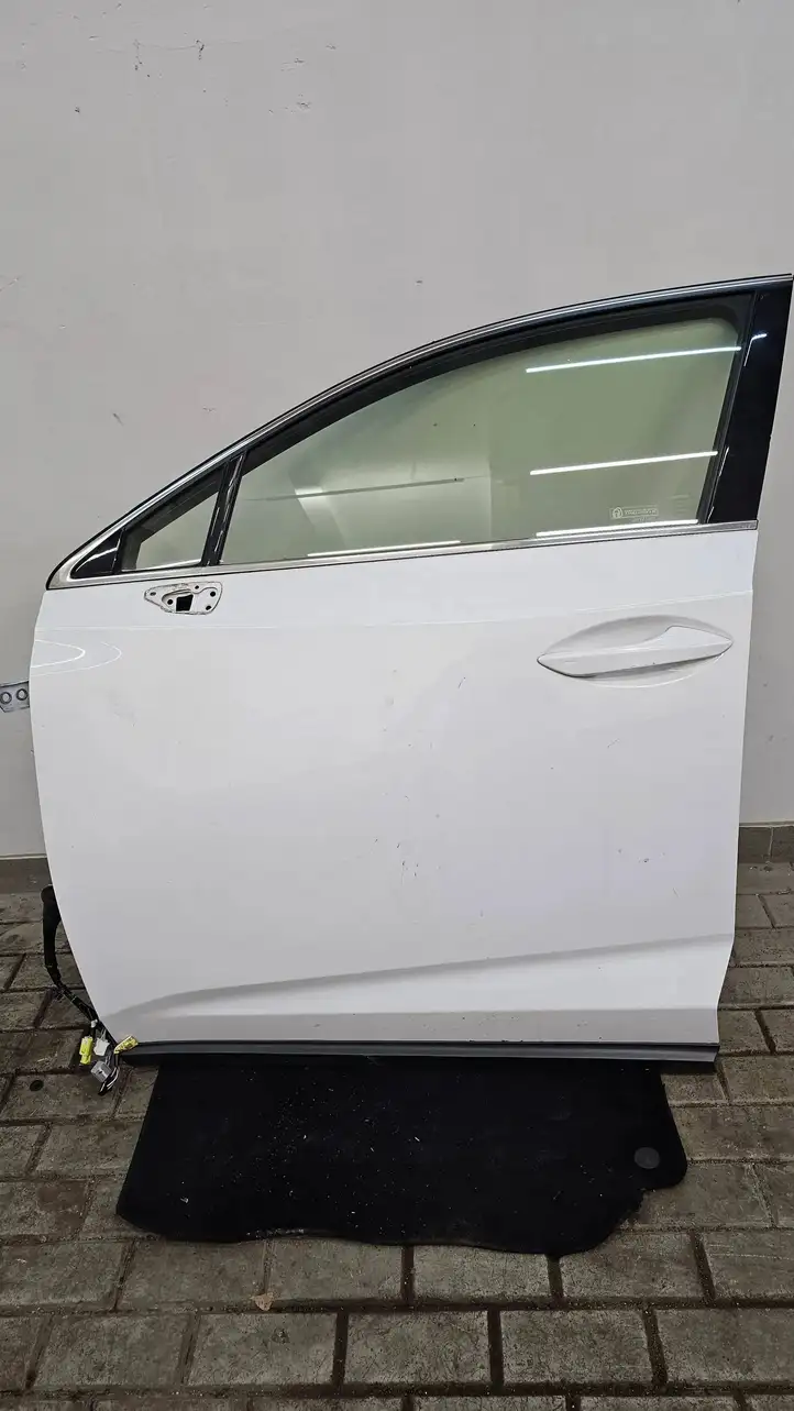 Lexus NX (2017 - ) Дверь — фото 1