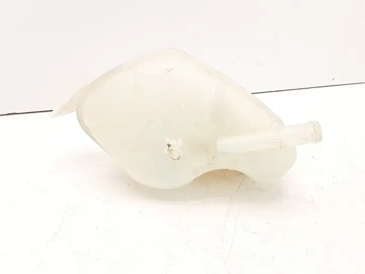 Nissan Qashqai (2013 - 2017) Расширительный бачок — фото 3