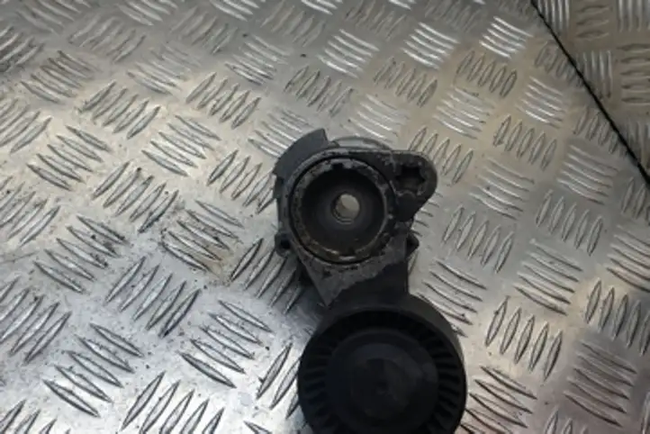 BMW 3 E90 E91 (2005 - 2012) 11287530314 Натяжитель ремня — фото 1