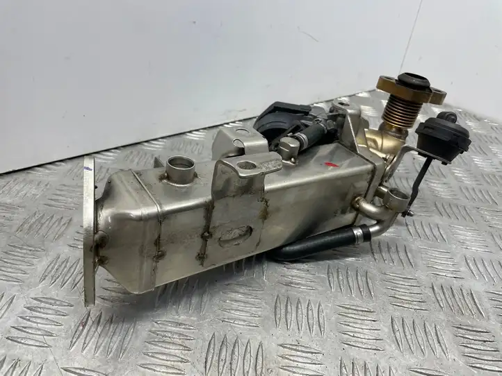 BMW 3 F30 F35 F31 (2012 - 2018) 7810751 Охладитель клапана EGR — фото 1