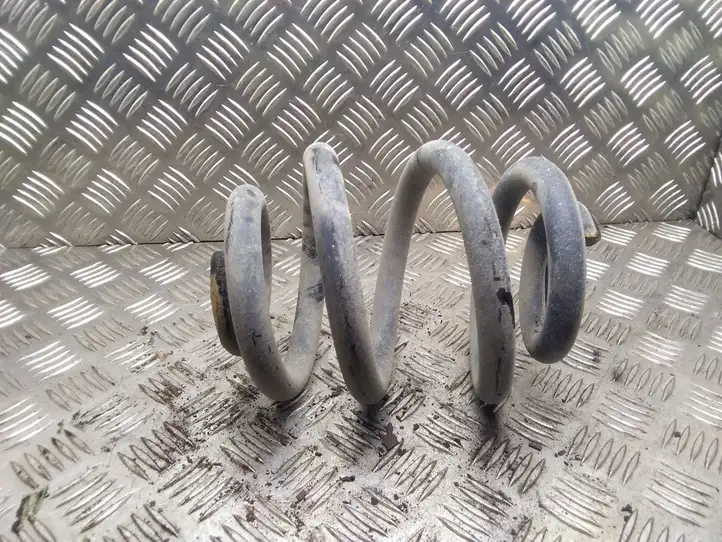 Volkswagen Transporter - Caravelle T5 (2003 - 2009) Пружина задней подвески — фото 1