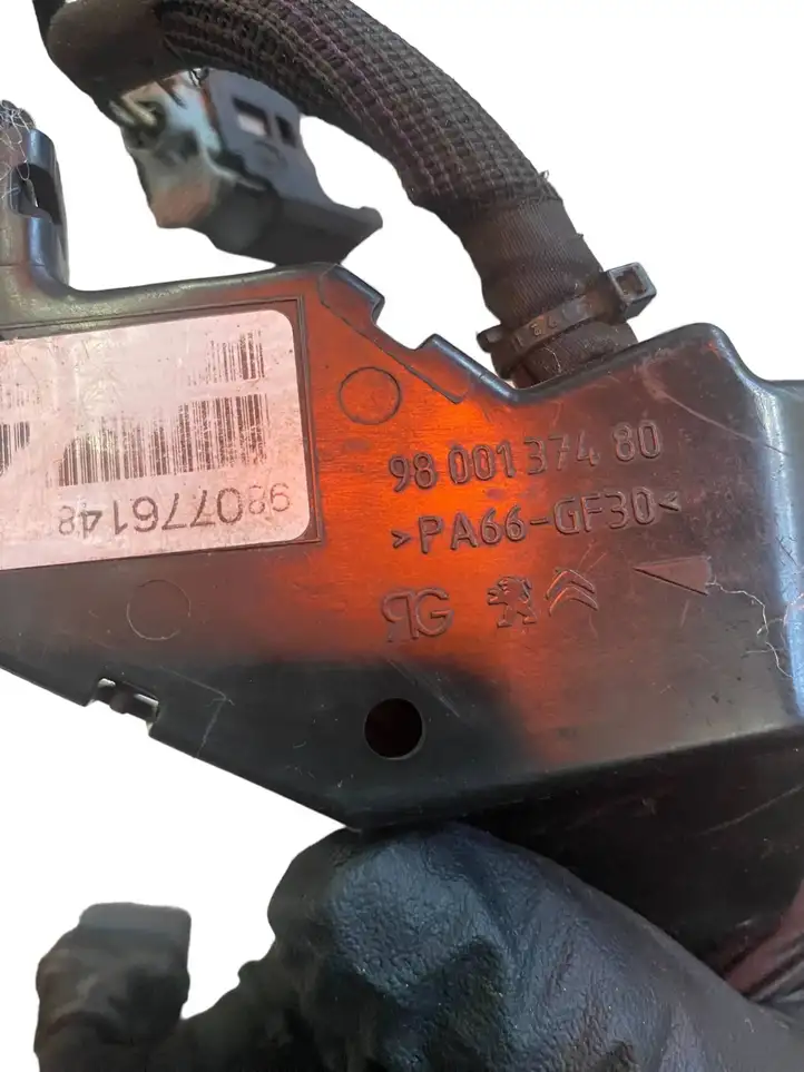 Peugeot Boxer (2015 - ) 9800137480 Прочая электропроводка — фото 8