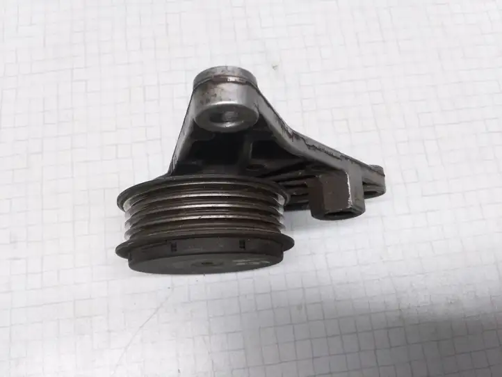 Volkswagen PASSAT B5.5 (2001 - 2005) 058260511 Шкив натяжителя ремня — фото 2