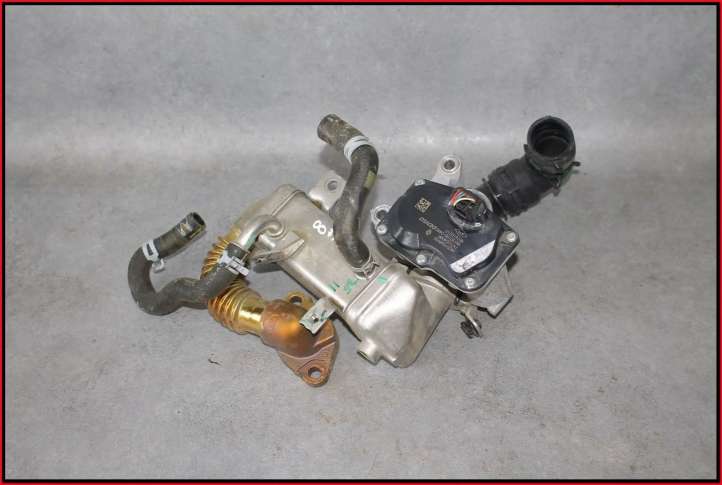 H8201068965 Nissan Qashqai EGR vožtuvas