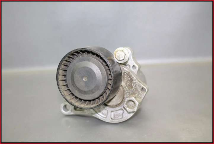 117505337R Nissan Qashqai Generatoriaus diržo įtempėjas