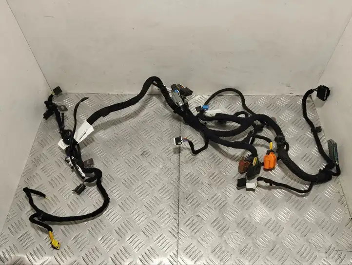 Maserati Quattroporte (2012 - 2016) 670006100 Прочая электропроводка — фото 1
