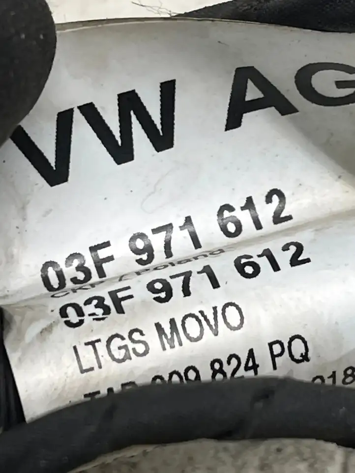 Seat Ibiza IV (6J,6P) (2008 - 2017) 03F971612 Проводка двигателя — фото 3