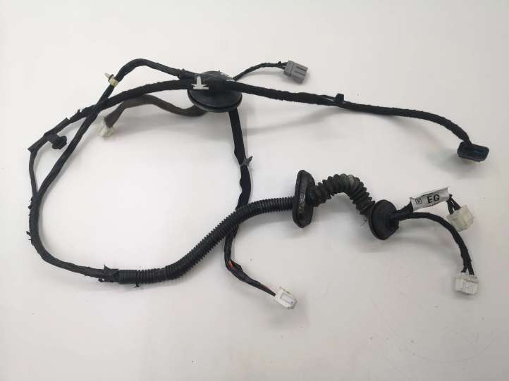 Nissan Qashqai (2006 - 2010)  24125JD05E Проводка передних дверей