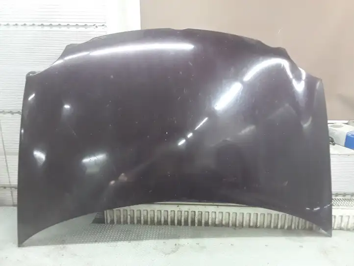 Volkswagen Polo (2001 - 2005)   Капот