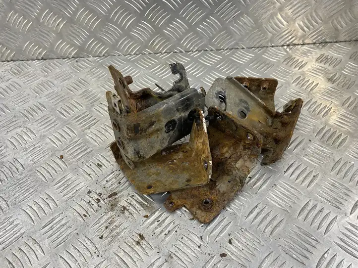 Audi Q7 4L (2009 - 2015) Боковые пороги — фото 5