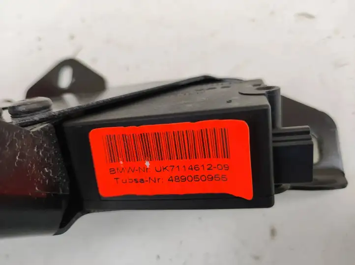 BMW X6 E71 (2008 - 2014) 489050955 Петля замка багажной двери — фото 4