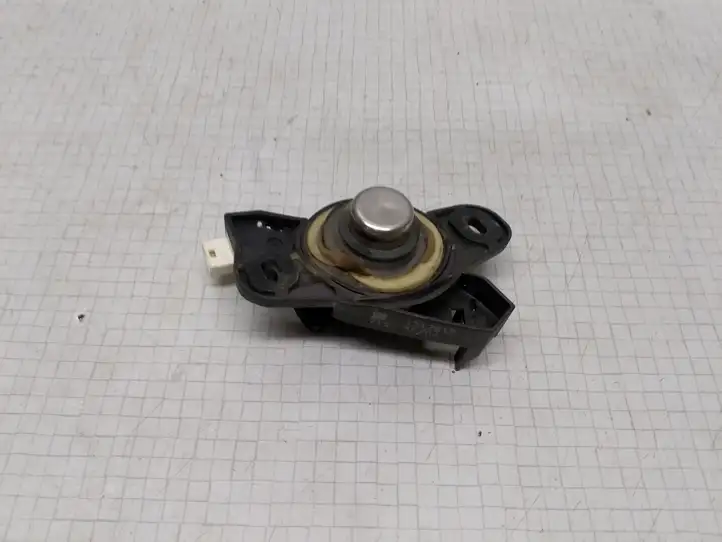 Opel Vectra C (2002 - 2005) 1317815 Кнопка закрытия крышки багажника — фото 2