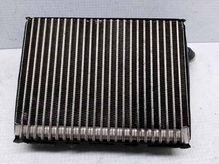 Volkswagen PASSAT B5.5 (2001 - 2005) 8D1820103D Испаритель кондиционера — фото 3