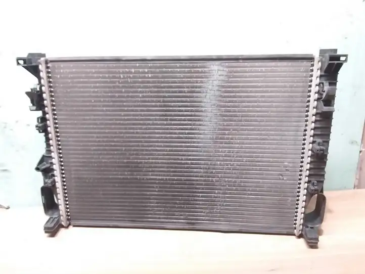 Mercedes-Benz E W211 (2002 - 2009) A2115000102 Радиатор охлаждающей жидкости двигателя — фото 3