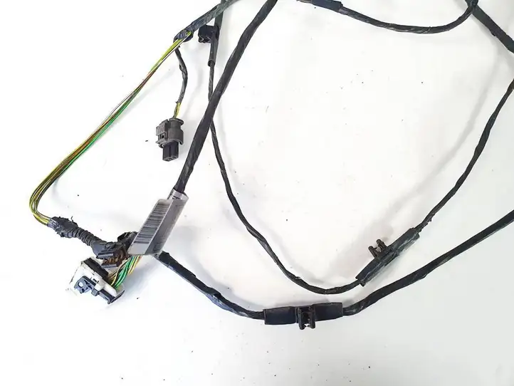 BMW X5 E70 (2006 - 2013) 697067603 Прочая электропроводка — фото 3
