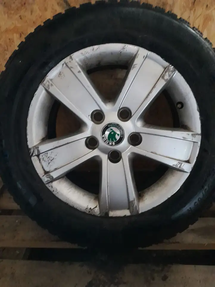 Skoda Octavia Mk2 (1Z)   1Z06010255 Обод (ободья) колеса из легкого сплава R 15