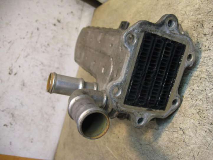 338630105 Volkswagen Golf IV EGR aušintuvas