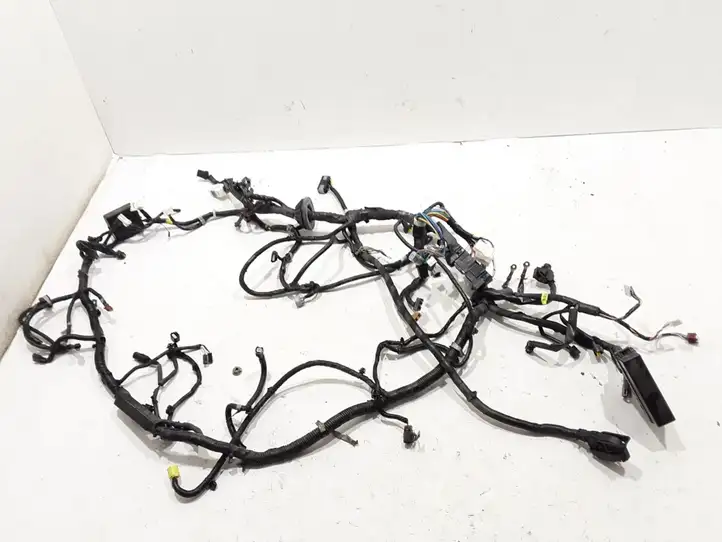 Nissan Qashqai (2013 - 2017) 240124EG9E Прочая электропроводка — фото 1