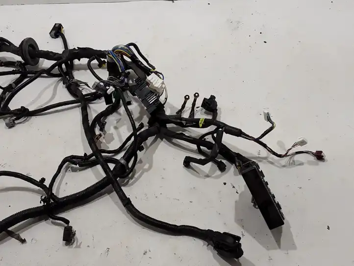 Nissan Qashqai (2013 - 2017) 240124EG9E Прочая электропроводка — фото 3