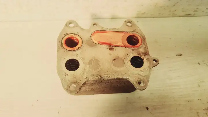 Seat Exeo (3R) (2008 - 2013) 03L117021C Кронштейн масляного фильтра — фото 4