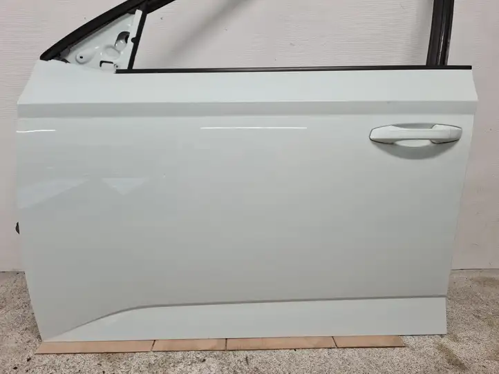 Skoda Fabia Mk3 (NJ) (2015 - 2021) Дверь — фото 3