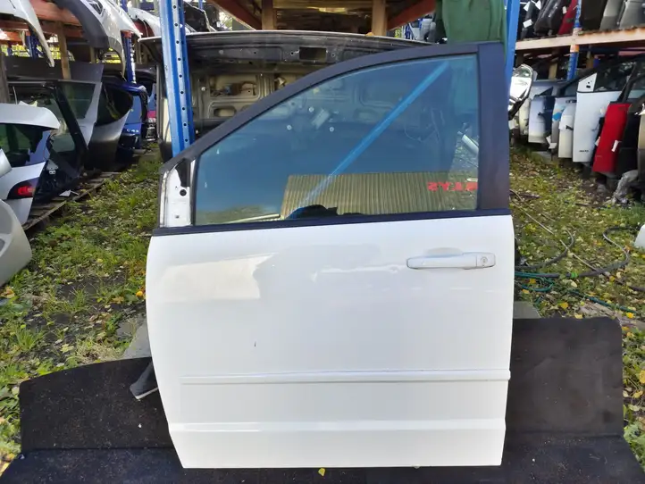 Dodge Grand Caravan (2007 - 2020) Дверь — фото 1