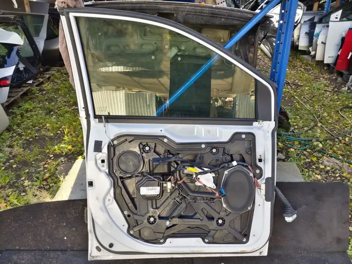 Dodge Grand Caravan (2007 - 2020) Дверь — фото 3