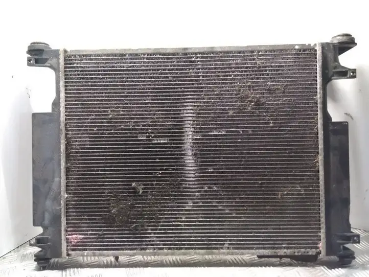Lexus IS 220D-250-350 (2005 - 2010) 4221335623 Радиатор охлаждающей жидкости двигателя — фото 1