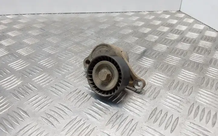 Nissan X-Trail T31 (2007 - 2014) 117507568R Натяжитель ремня — фото 1