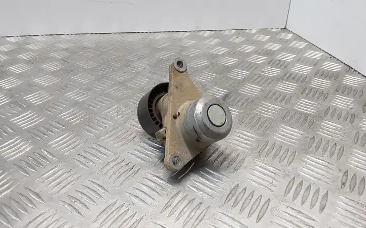 Nissan X-Trail T31 (2007 - 2014) 117507568R Натяжитель ремня — фото 3