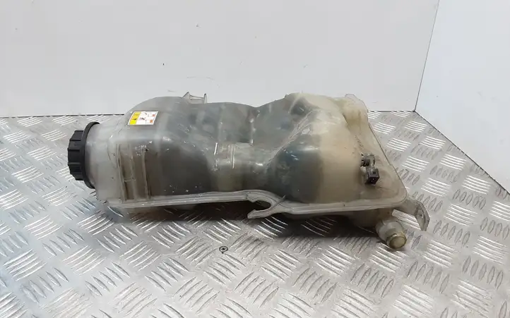 Land Rover Range Rover L322 (2009 - 2012) AH428A080BC Расширительный бачок — фото 13