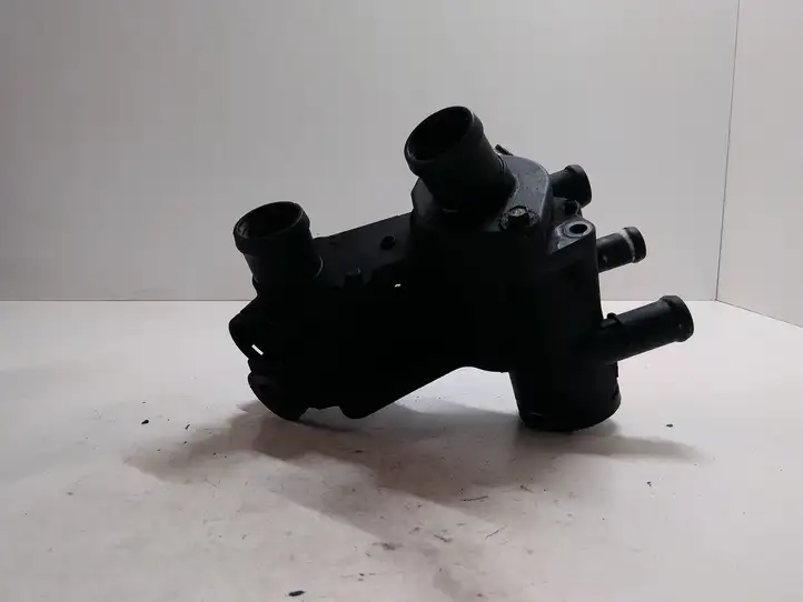 Volkswagen Golf IV (1998 - 2005) 032121111 Термостат — фото 3