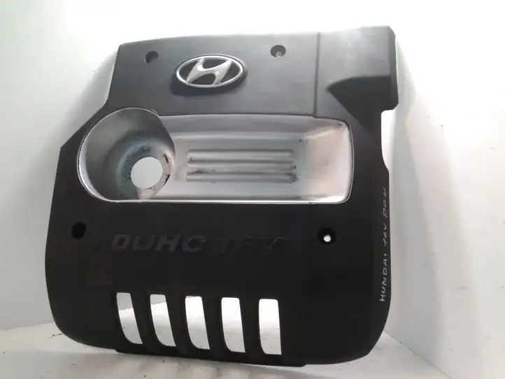 Hyundai Santa Fe (2000 - 2005) 2924038001 Крышка двигателя декоративная — фото 1