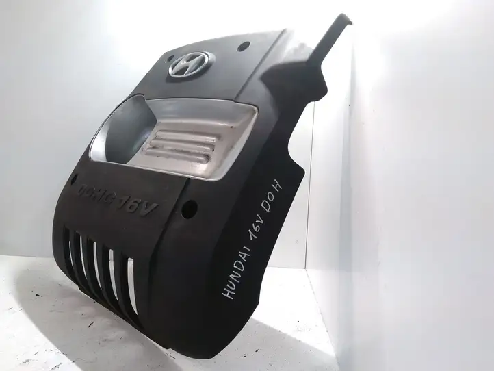 Hyundai Santa Fe (2000 - 2005) 2924038001 Крышка двигателя декоративная — фото 3
