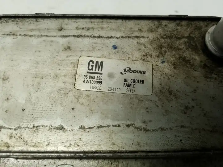 Chevrolet Captiva (2011 - 2013) 96868256 Кронштейн масляного фильтра — фото 4